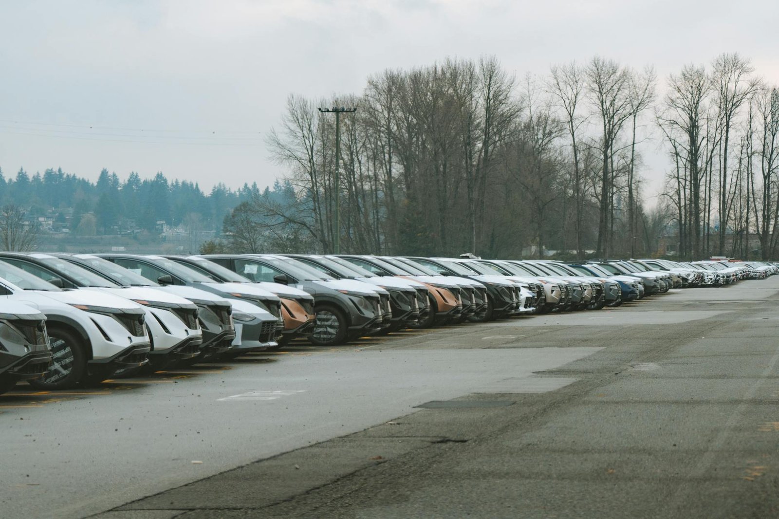 long row of cars parked outdoors on overcast day